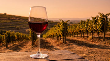 Le vin mourvèdre : l'élégance d'un colosse solaire