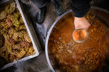 Le vin orange : comment il est fait, comment le servir, lesquels choisir
