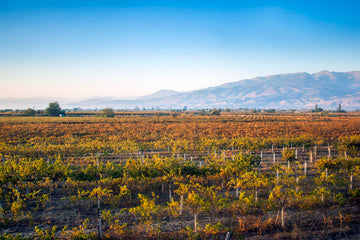Vins d'Anatolie Centrale