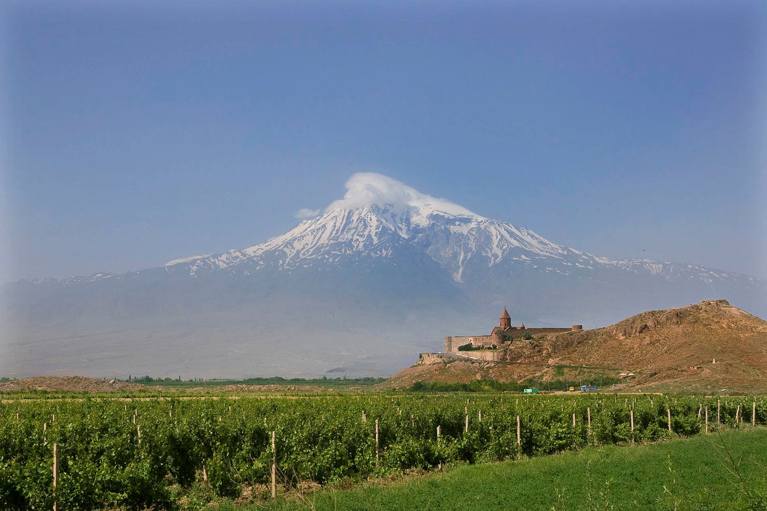 Wijnen uit Ararat